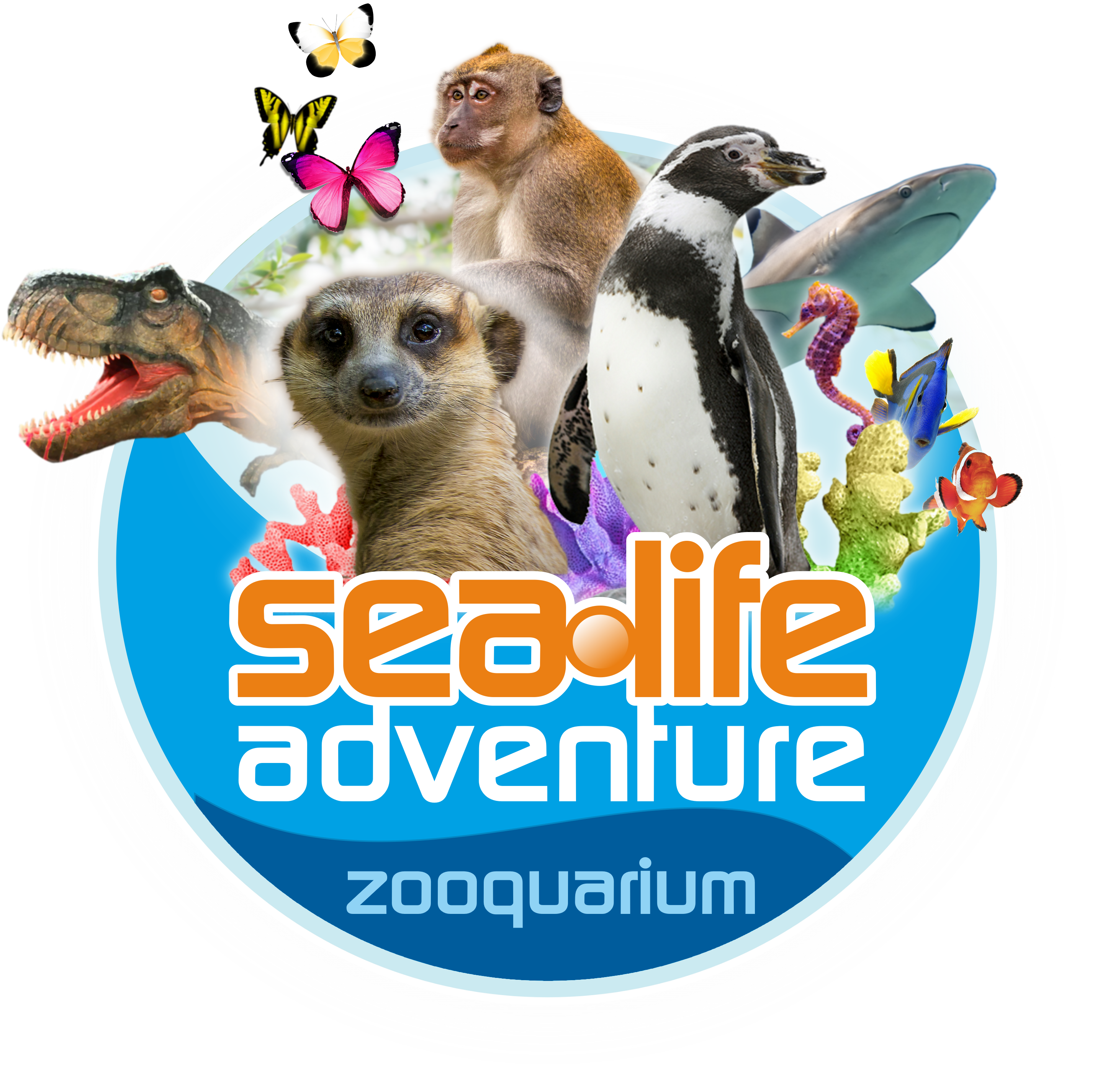 Sea Life Adventure